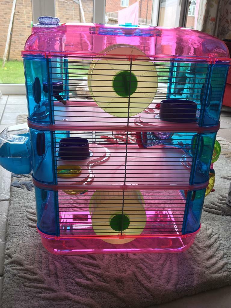 lazy bones hamster cage